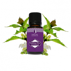 Tinh dầu Hương Nhu Thanh Long (10ml)