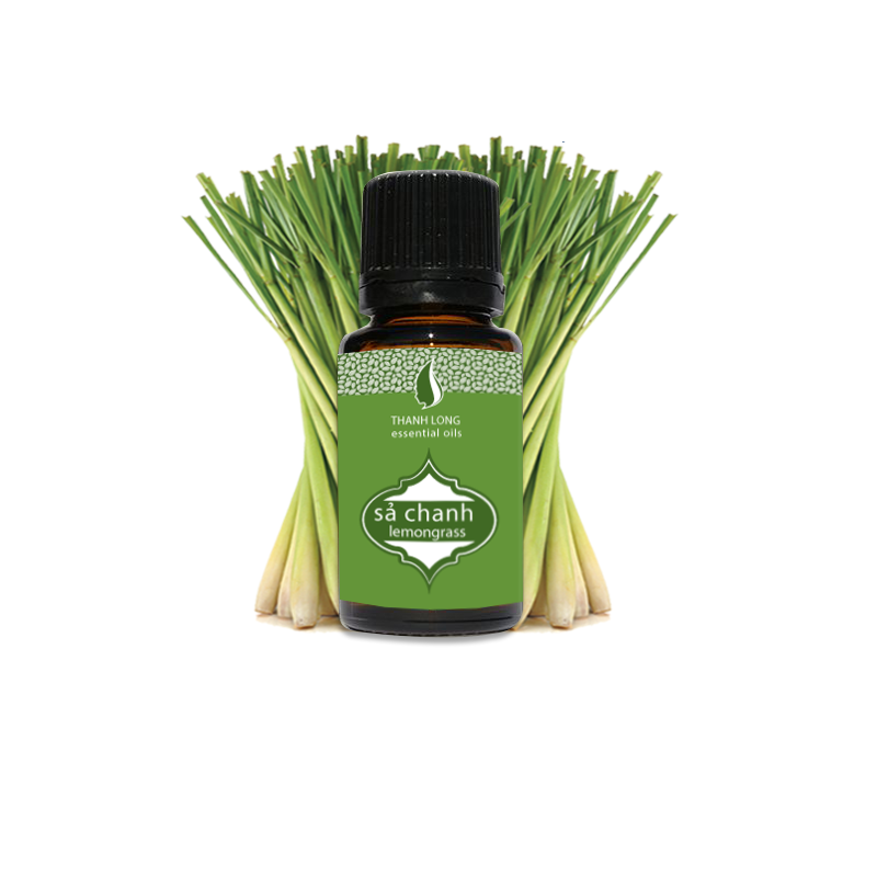 Tinh dầu Sả Thanh Long (10ml)