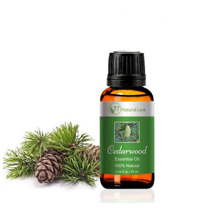 Tinh Dầu Gỗ Tuyết Tùng - Cedarwood Essential Oil 10ml - TT Natural Look (Quà Từ Thiên Nhiên)