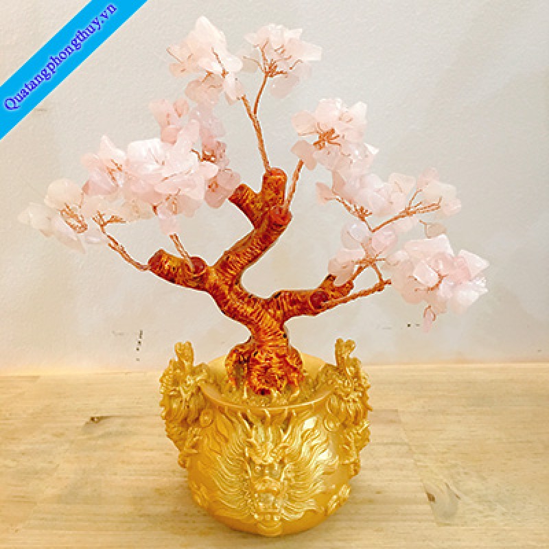 Cây Tài Lộc Thạch Anh Hồng Chậu Rồng Nhỏ