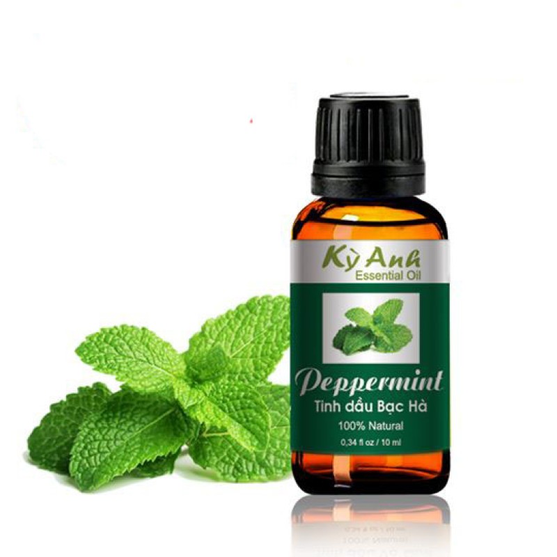 Tinh dầu bạc hà 10ml - Kỳ Anh