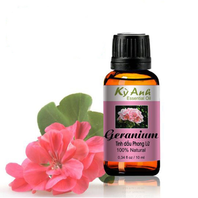 Tinh dầu phong lữ 10ml - Kỳ Anh