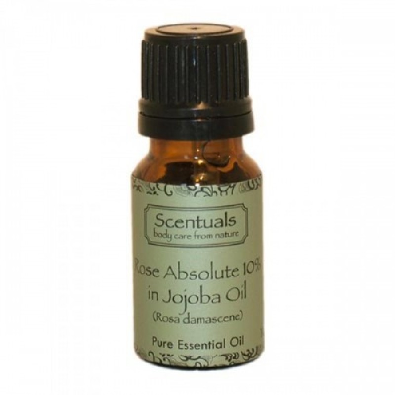 Tinh Dầu Hoa Hồng 10% Dầu Jojoba - Rose Absolute 10% In Jojoba Oil 10ml - Scentuals