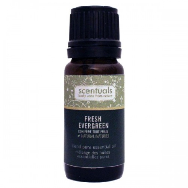 Tinh Dầu Thường Xanh - Fresh Evegreen Oil 10ml - Scentuals