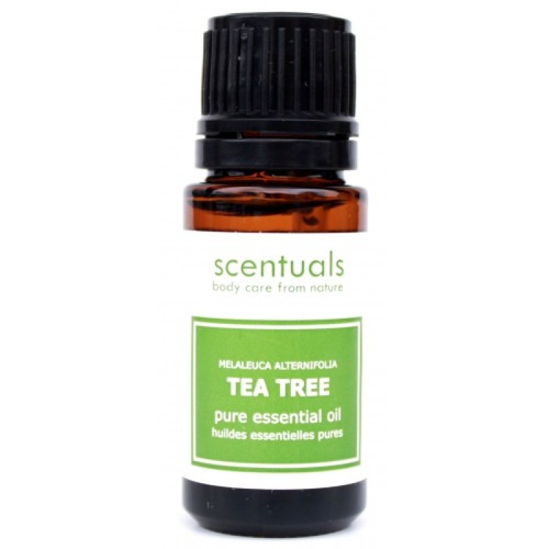 Tinh Dầu Trà xanh - Tea Tree Oil 10ml - Scentuals