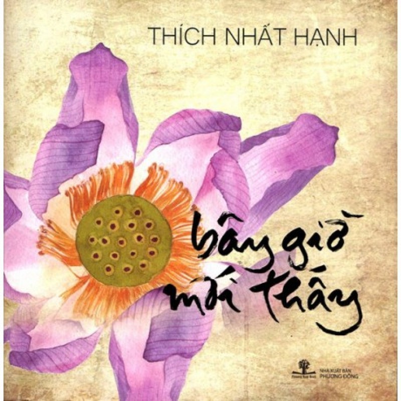 Bây Giờ Mới Thấy - Thích Nhất Hạnh ( Nhà Sách Phương Nam)