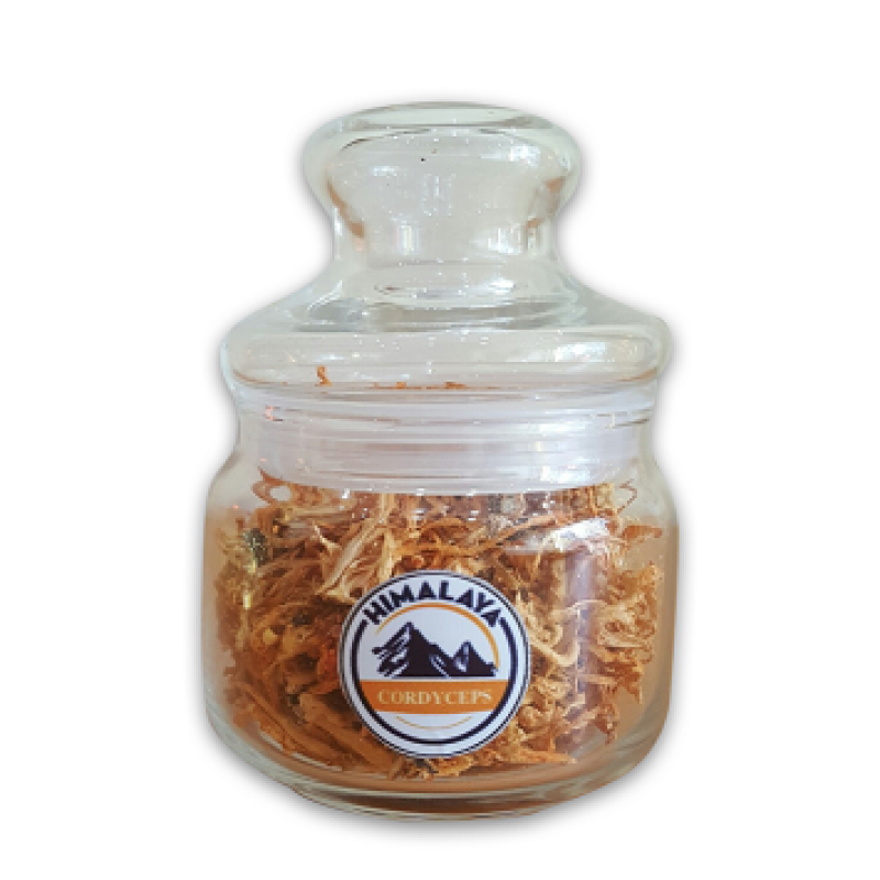 Đông Trùng Hạ Thảo Khô (40 gram)