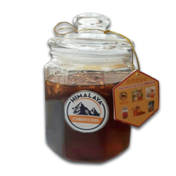 Đông Trùng Hạ Thảo Ngâm Mật Ong Himalaya (250ml)