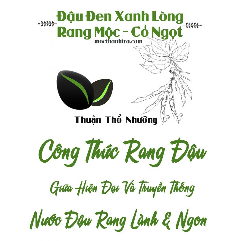Đậu Đen Xanh Lòng Rang - Cỏ Ngọt Túi Lọc (500gram) - Mộc Thanh Trà
