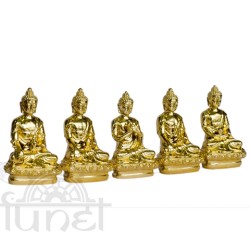 Ngự Trì Như Lai (05 Tượng)